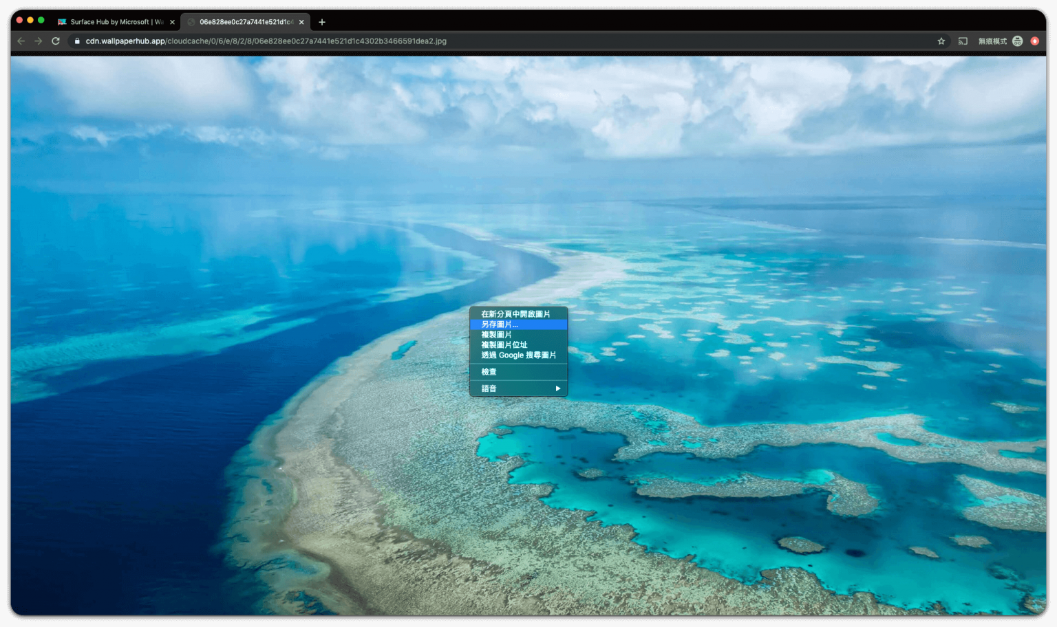 Win10 桌布免費下載 - Wallpaperhub 提供高畫質 Windows 桌布 - 塔科女子