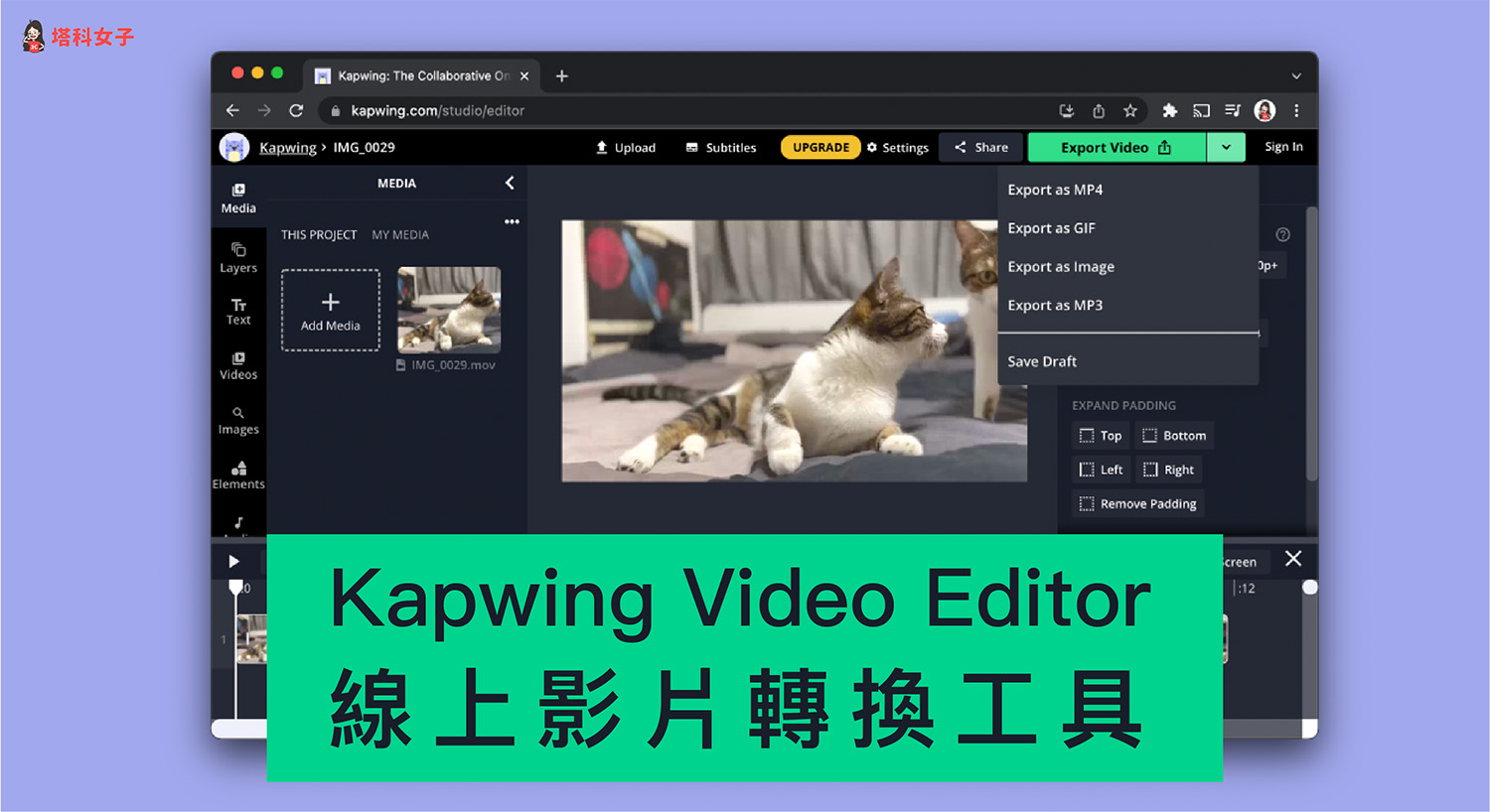 Kapwing 線上影片編輯/轉換工具,將影片轉MP3、MP4、JPG、GIF