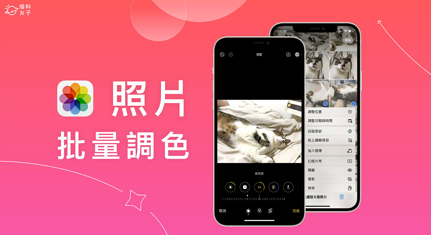 iPhone 照片批量編輯教學,iOS 16 一鍵套用色調數值到其他 iPhone 照片
